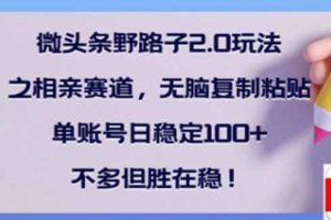 微头条野路子2.0玩法之相亲赛道,无脑搬砖复制粘贴,单账号日稳定300+… 网赚项目  0  83