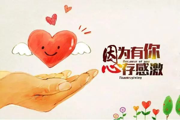 试管移植番茄_番茄移植后可以吃吗_试管三个月内不吃番茄