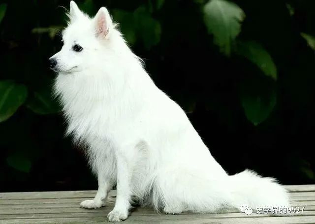 老百姓是什么意思_老百姓这个词怎么解释_老百姓意思是什么