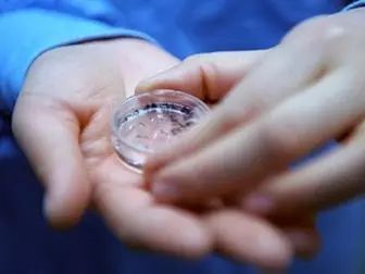 天子宫存活囊胚能移植吗_5天囊胚在子宫存活几天_囊胚可以在子宫活多久
